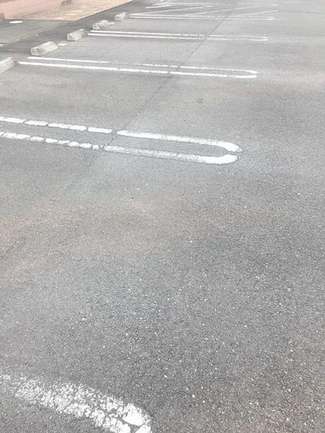 Naikan11 20231228000000 945x630