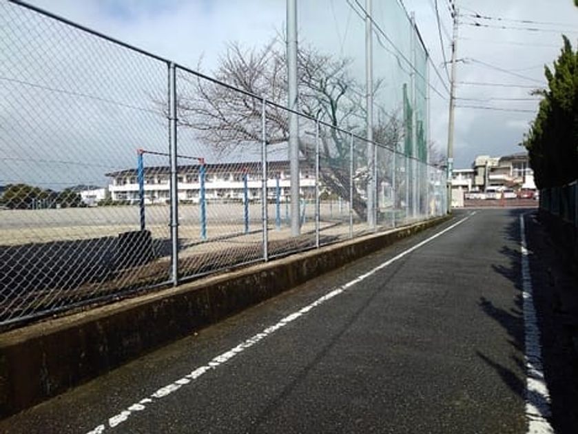 Naikan14 20250430000000 945x630