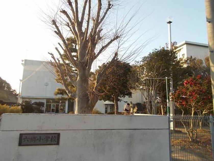Naikan18 20201023000000 945x630