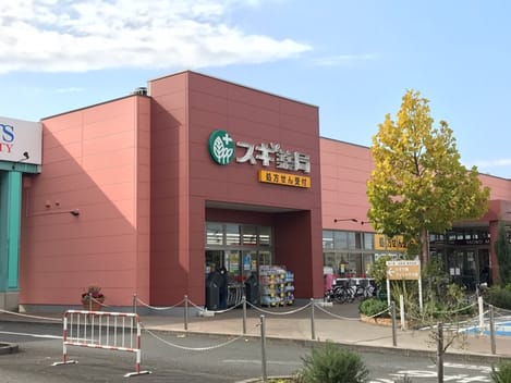 Naikan17 20250403000000
