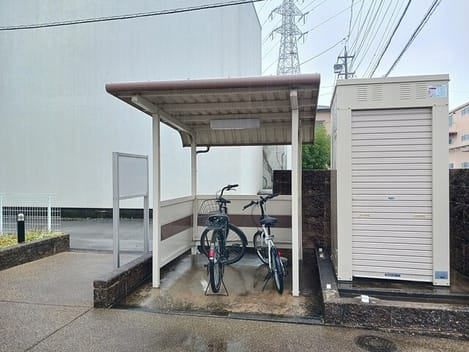 Naikan11 20260303000000