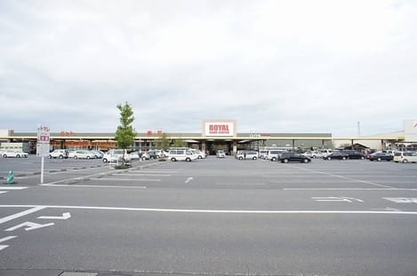 Naikan10 20250219000000