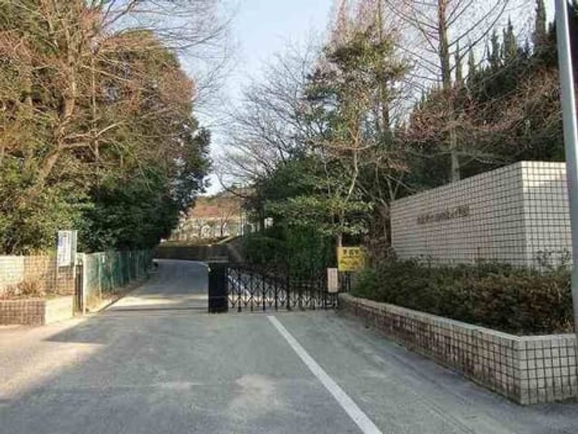 Naikan18 20200122000000 945x630