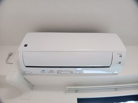 Naikan8 20260907000000
