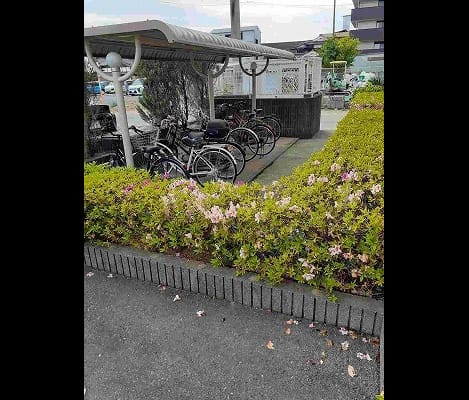 Naikan8 20240911000000