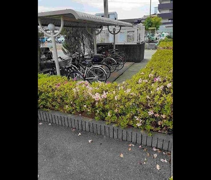 Naikan8 20240911000000 945x630