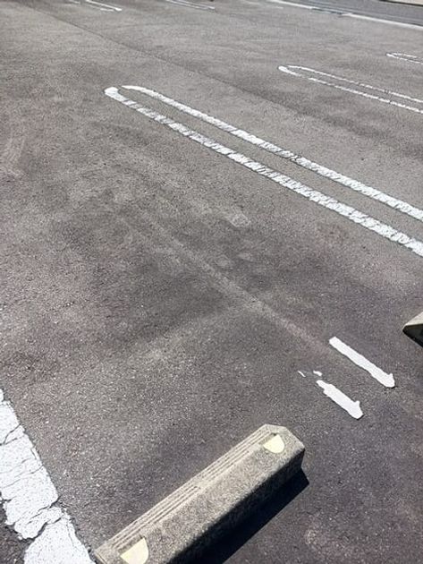 Naikan11 20250408000000 945x630