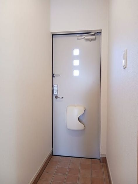 Naikan7 20250408000000 945x630