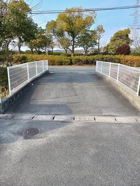 Naikan11 20260219000000