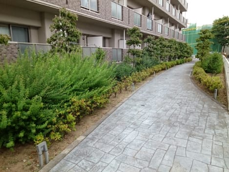 Naikan5 20170625000000