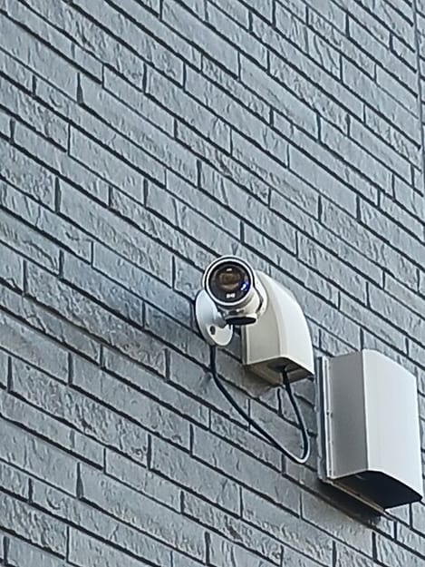 Naikan10 20260807000000