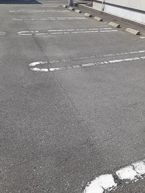 Naikan11 20220407000000 945x630