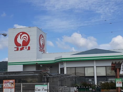 Naikan13 20240809000000