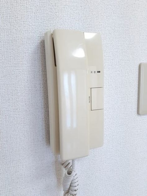 Naikan10 20210729000000 945x630