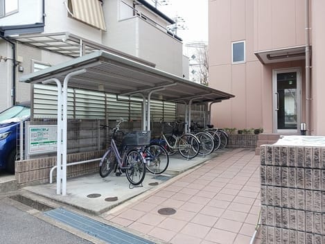 Naikan8 20250128000000