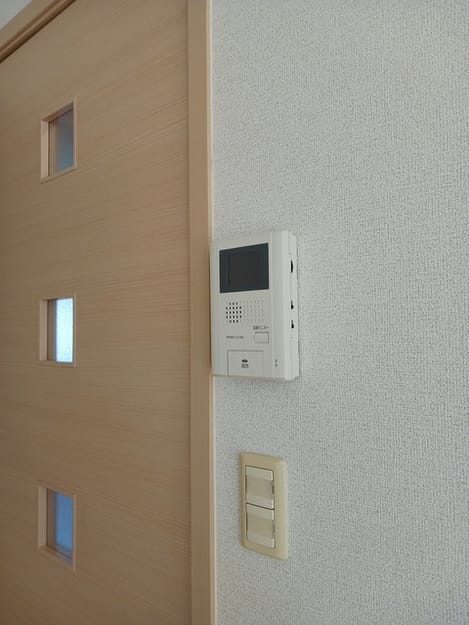 Naikan11 20250131000000