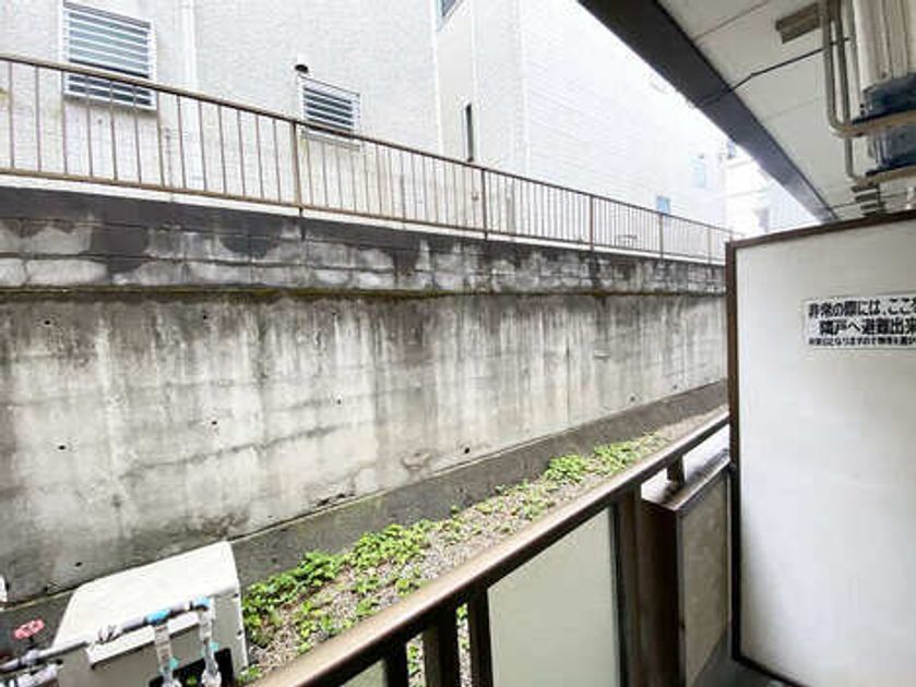 Naikan15 20250428020704 945x630