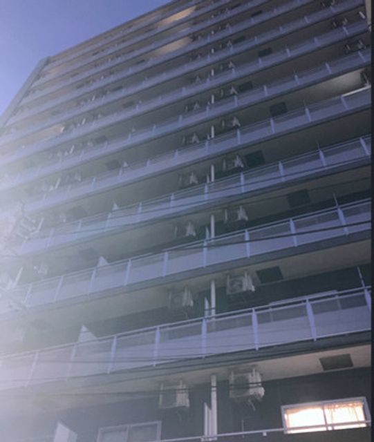 Gaikan 20250127153240 640x640
