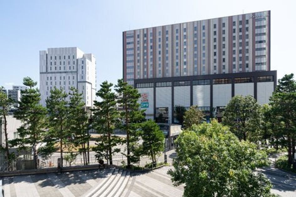 Naikan21 20250619181311 945x630