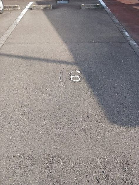 Naikan11 20250326000000 945x630