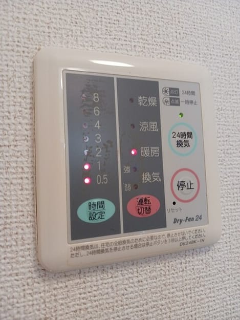 Naikan12 20250819000000
