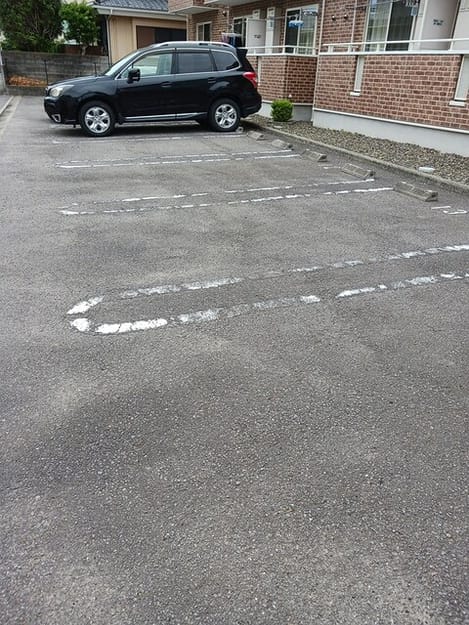 Naikan11 20250529000000