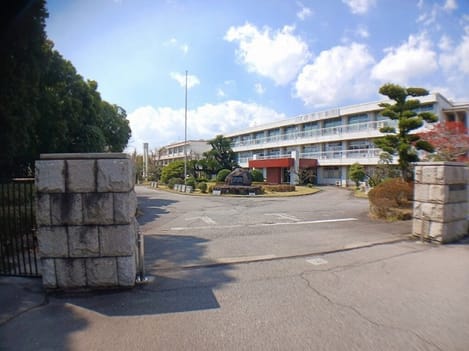 Naikan13 20260402000000