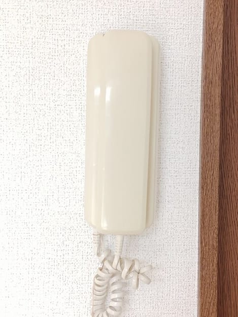 Naikan10 20250806000000