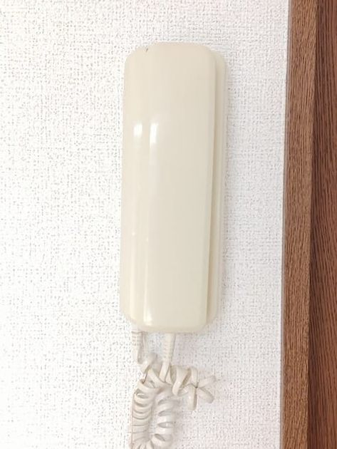 Naikan10 20250806000000 945x630