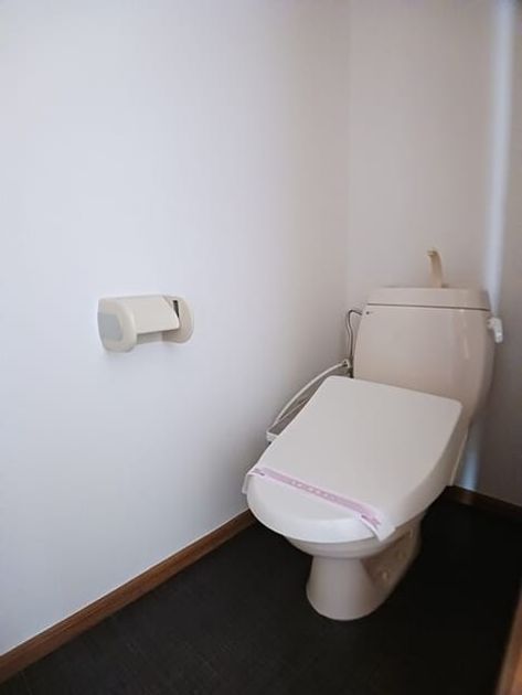 Naikan8 20260303000000 945x630