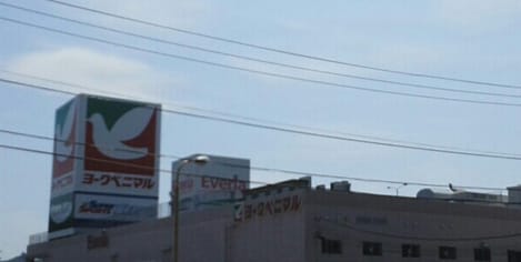 Naikan13 20240226000000