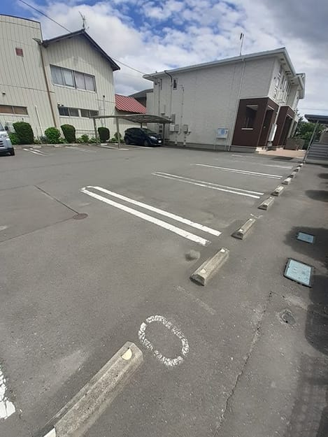 Naikan11 20260109000000