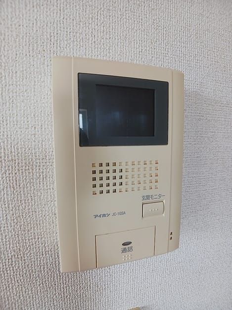 Naikan11 20260619000000