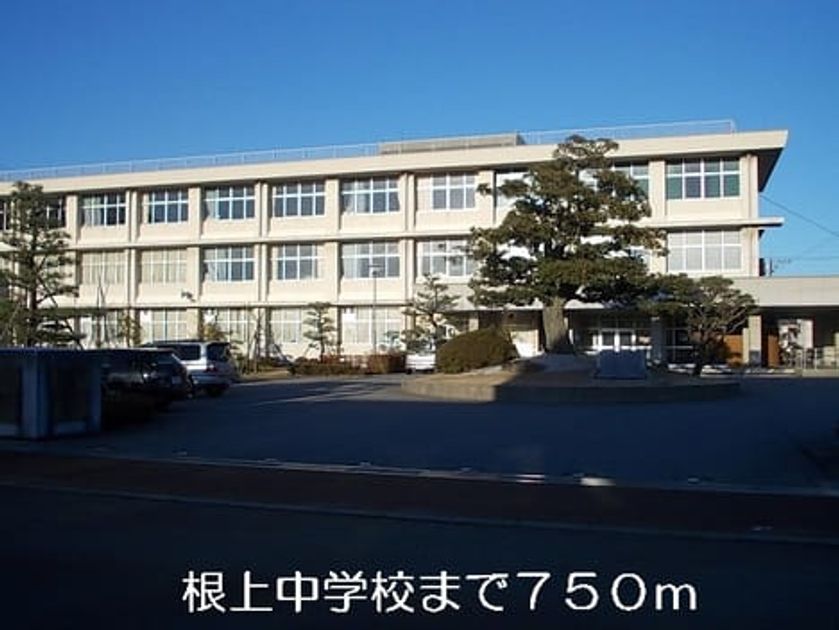 Naikan17 20140130000000 945x630