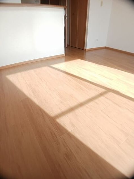 Naikan5 20260115000000 945x630