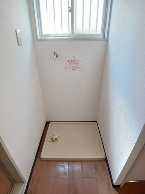 Naikan11 20250917000000 945x630