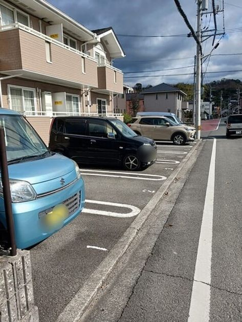 Naikan11 20260121000000 945x630