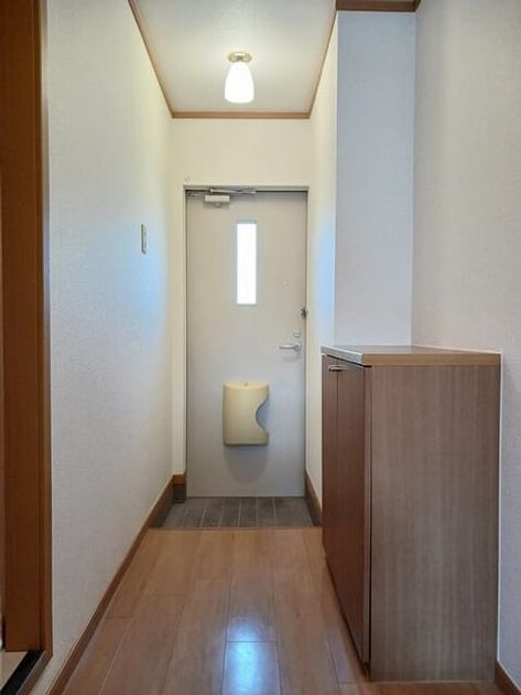 Naikan7 20260127000000 945x630