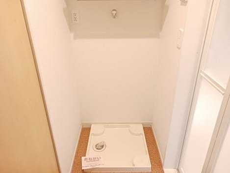 Naikan11 20260126000000