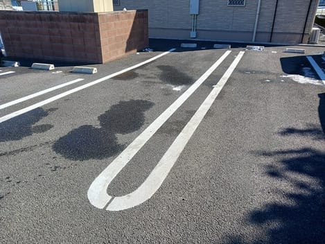 Naikan11 20260209000000
