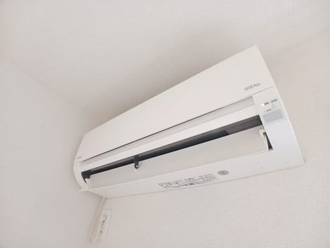 Naikan8 20260121000000