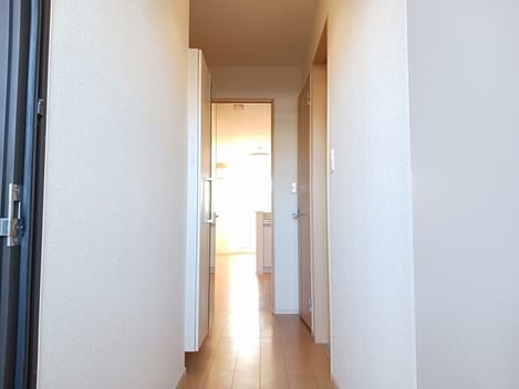 Naikan1 20260213000000