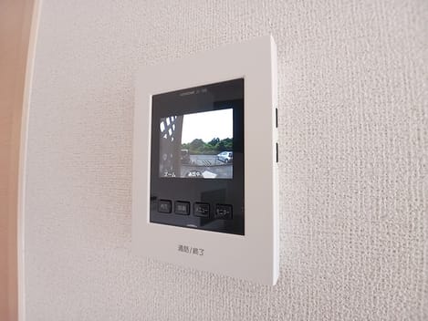 Naikan11 20260617000000