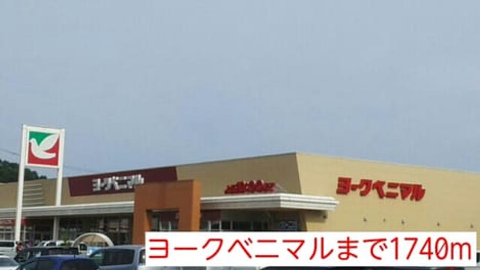 Naikan13 20150212000000 945x630