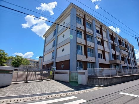 Naikan16 20260304000000