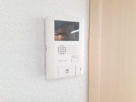 Naikan11 20260225000000