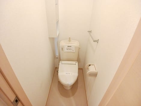 Naikan11 20260202000000