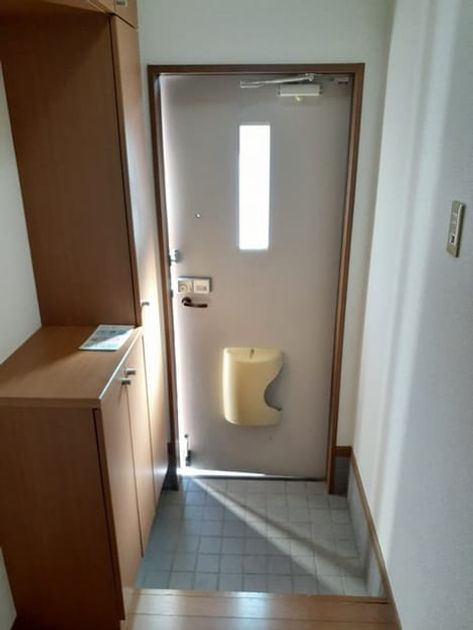 Naikan12 20240917000000 945x630