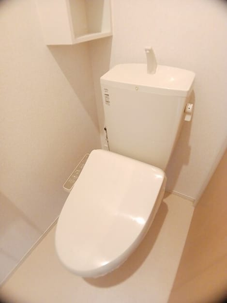 Naikan8 20260525000000