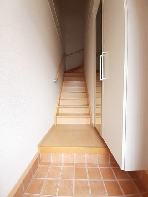 Naikan11 20240412000000 945x630